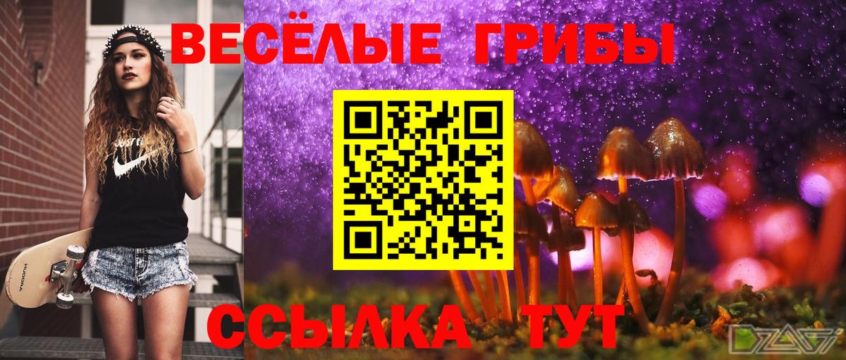 Пушкино  Галлюциногенные грибы GOLDEN TEACHER  Вход с VPN 